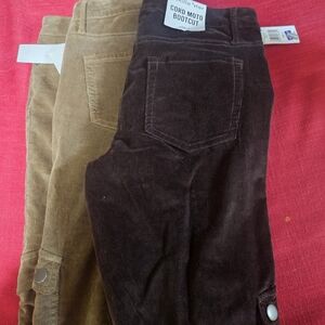 Lot of 2 Vanilla Star Cord Moto Bootcut Pants In Tan and Dark Brown Size 8 NWT